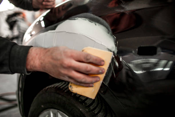 Professional Mold Removal in Lexington, IL