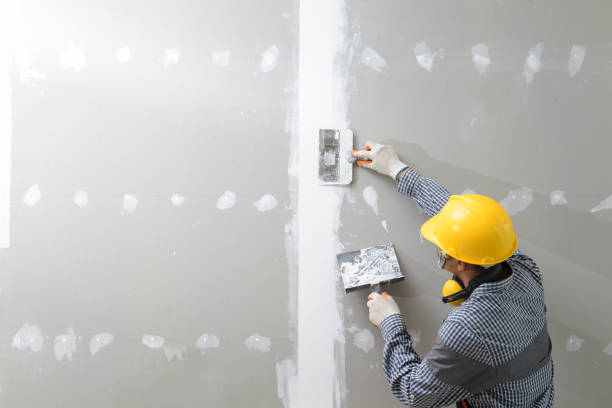 Best Mold Documentation for Insurance Claims  in Lexington, IL