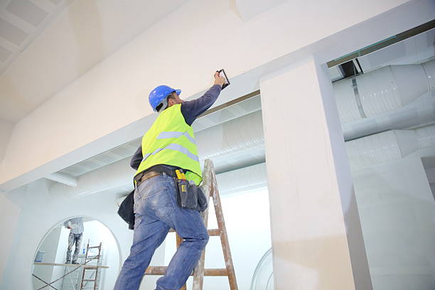 Best Environmental Consulting for Mold Prevention  in Lexington, IL
