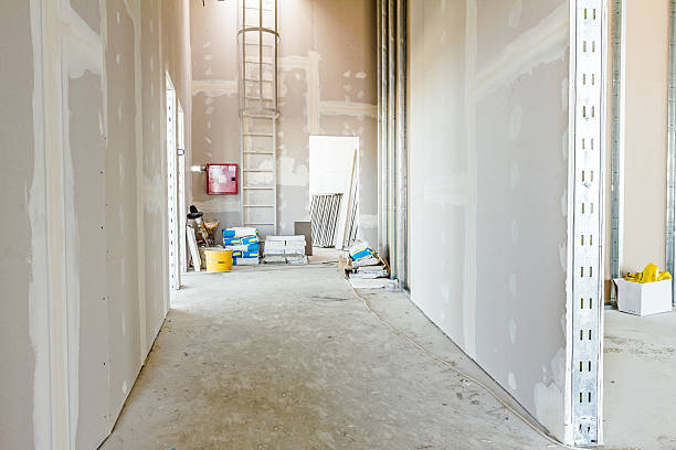 Best Forensic Mold Investigation  in Lexington, IL